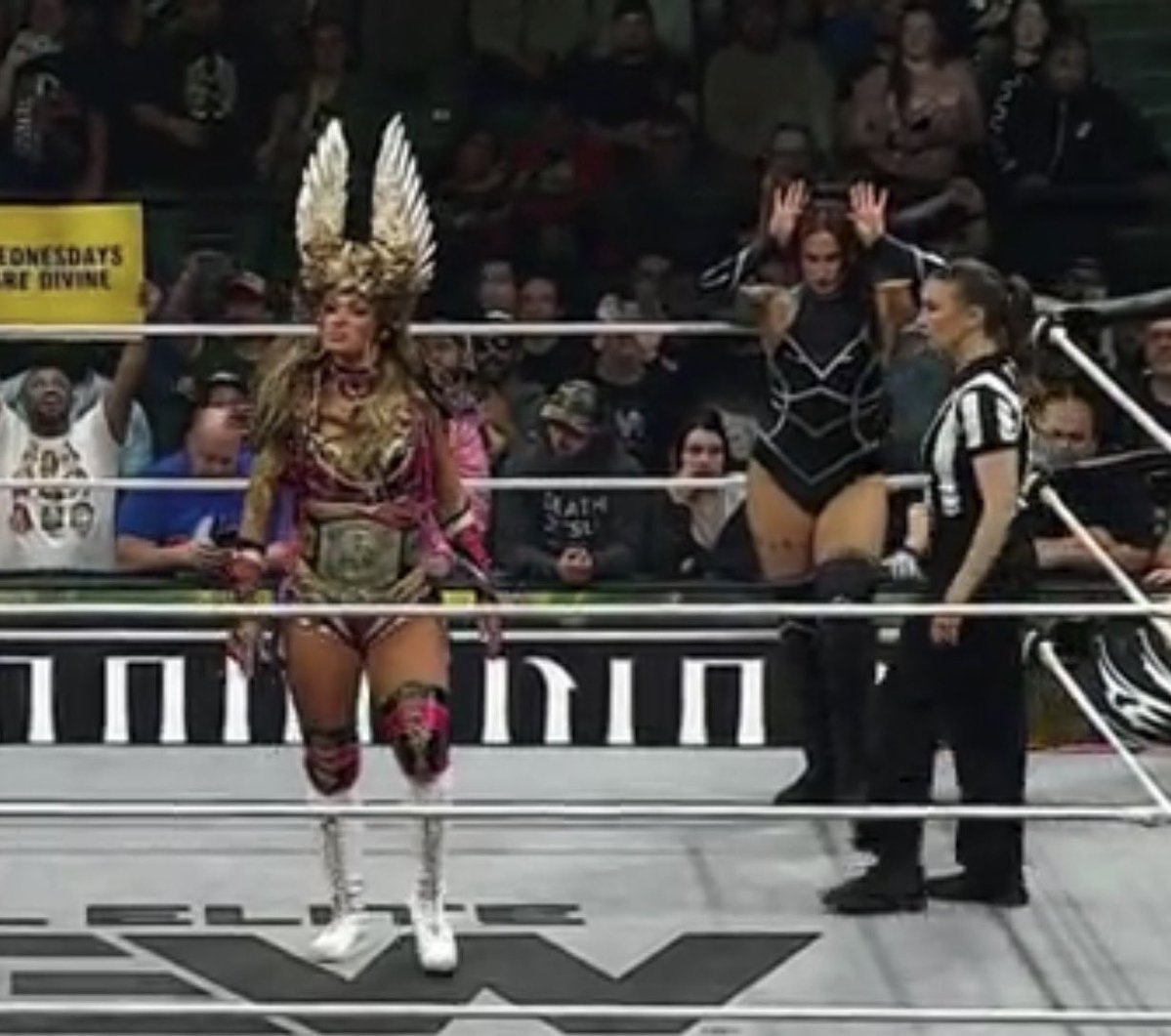 Daily Kris Statlander tweet media