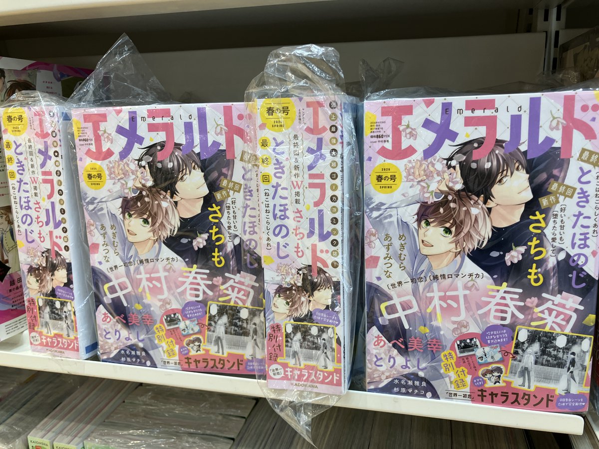 バラ売りOK　漫画　アニメイト　特典　雑誌　付録　① 好きなら脱がせて。 1 アニメイト購入特典Bリーフレット 佐倉リコ