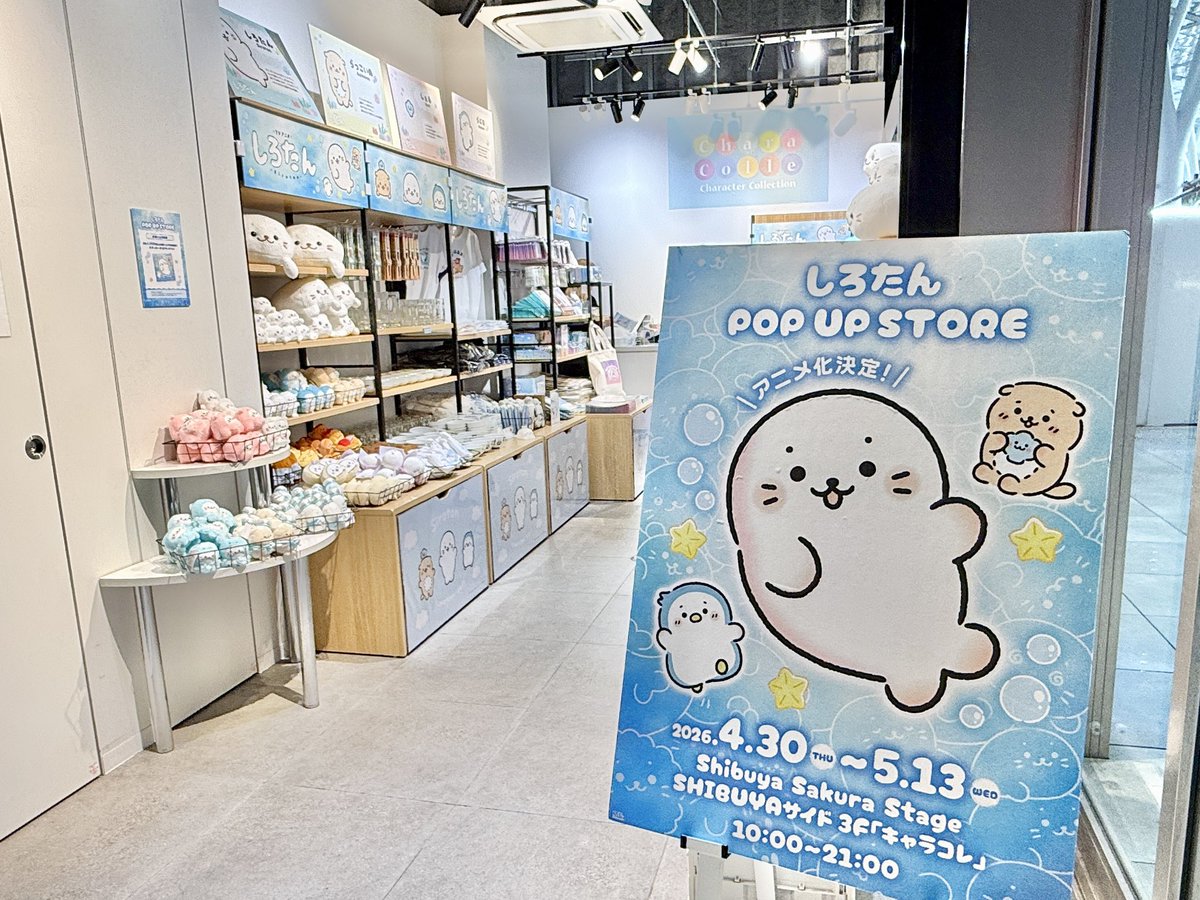 marimocraft_eve's tweet photo. ＼\ 本日オープン /／
🫧#しろたん POP UP STORE🫧
🦭26/4/30(木)～5/13(水)
🦭10:00～21:00
🦭#渋谷サクラステージ
　SHIBUYAサイド3階「キャラコレ」
🦭https://t.co/EkHpT57THR

お店の様子をお届け📸🎵
皆さまのご来店お待ちしています✨

#渋谷 #ポップアップ https://t.co/s65B9wX7CJ