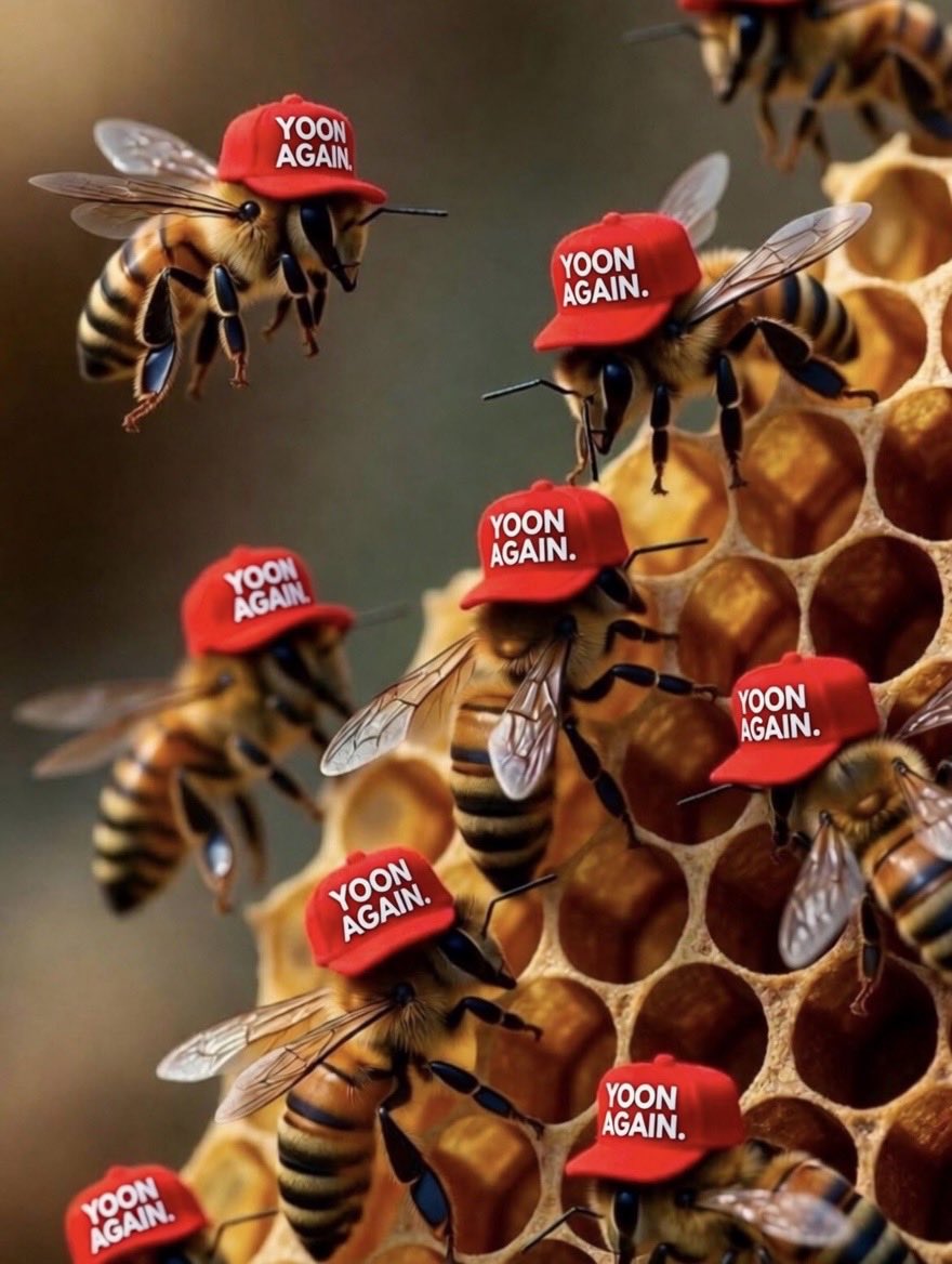 🇰🇷인돌 tweet media