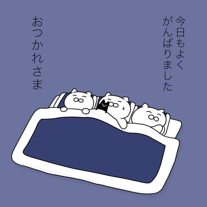 大和猫 tweet media