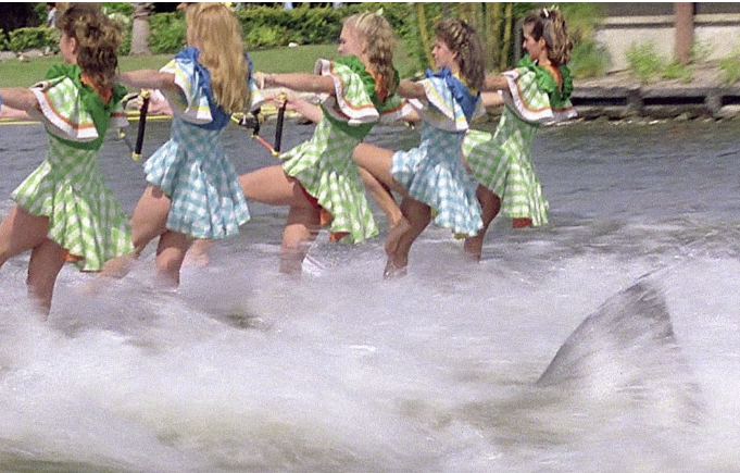 MistrelofHorror's tweet image. According to most people having a shark interrupt a waterskiing show is dangerous...according to the park owners it is called motivation!  If the skiers would quit falling, drastic measures would not have to be taken! #horror #shark #water #ocean #jaws #stunt #show #skiing