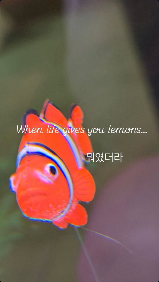 🍋🦊🐶🌻🤍🩵💙☃️❄️ JIMINJEONG'S SERENADE tweet media