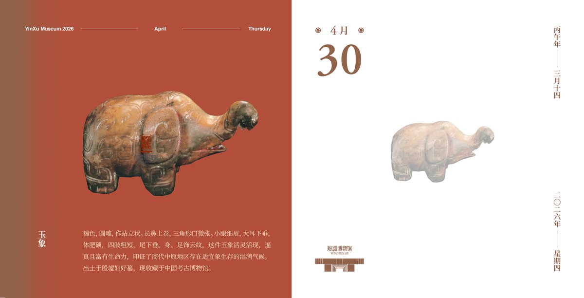 DiscoverAnyang's tweet image. 【#Yinxu Calendar】#April 30 How adorable were the cute mythical creatures 3,000 years ago?🦣 This Shang Dynasty jade #elephant has a warm and mellow texture with a plump, chubby and lovely posture. Its long trunk curls upward with a vivid expression. ✨