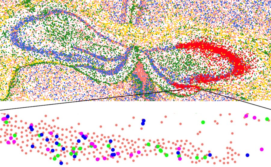 A*STAR Genome Institute of Singapore (A*STAR GIS) (@astar_gis) / Posts / X
