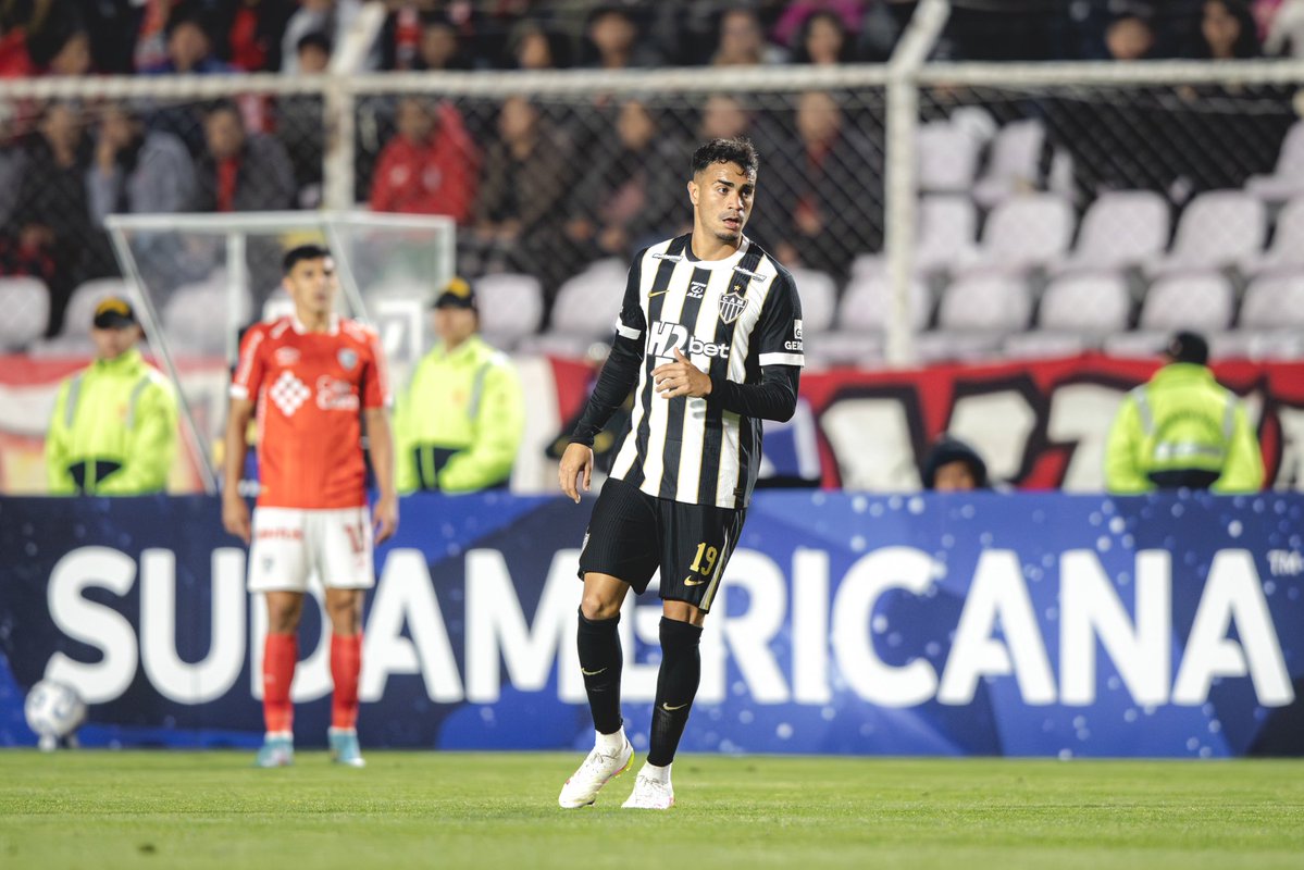 Marco Geves | BICA GALO tweet media
