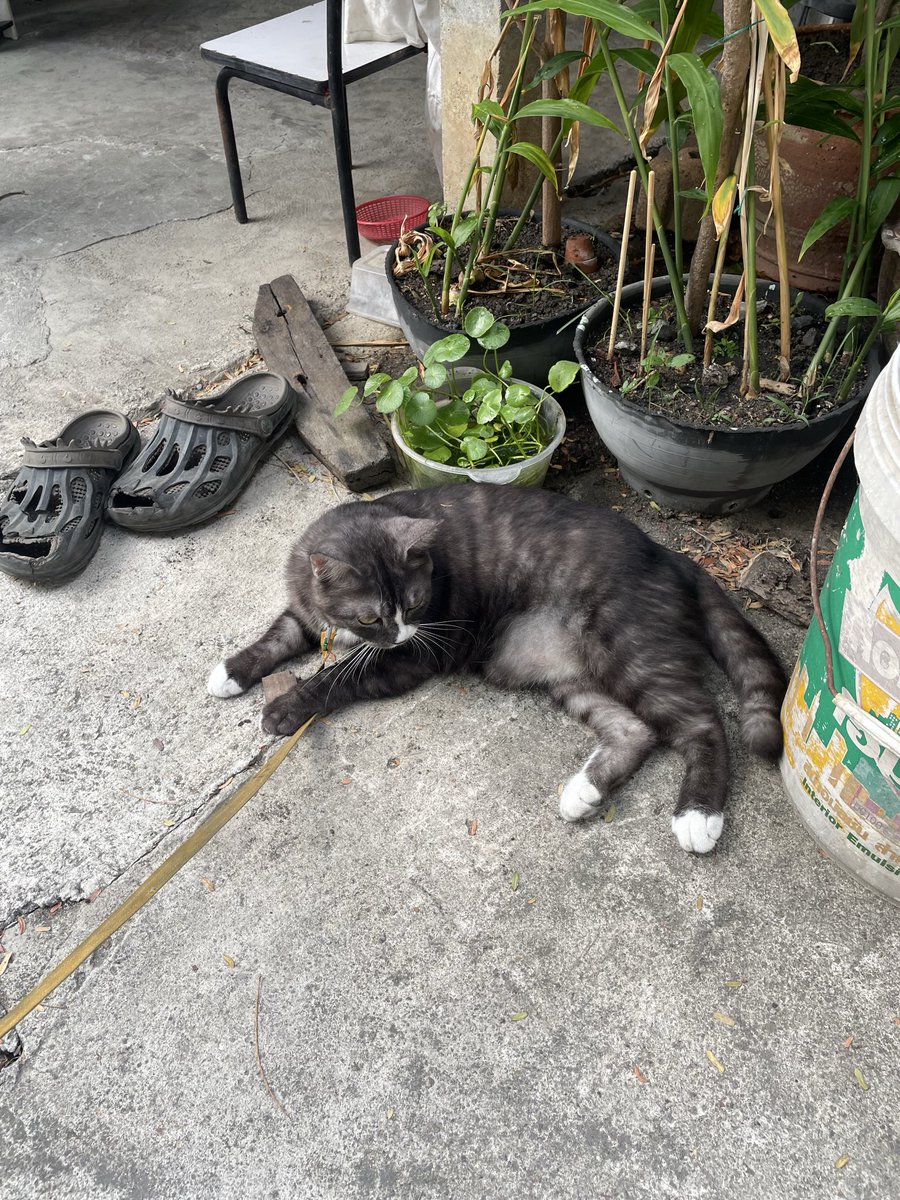 friday 🍎ツ tweet media