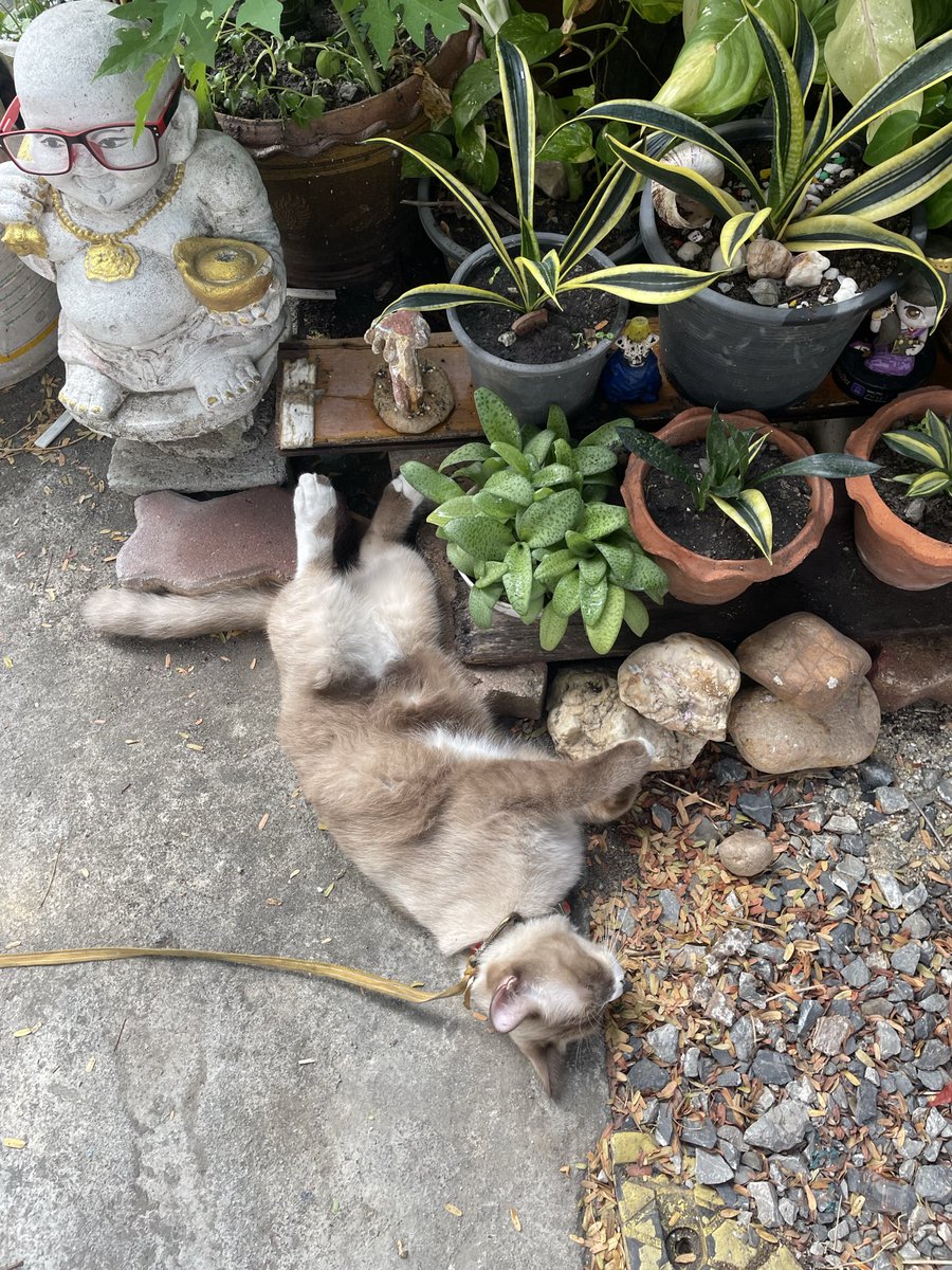 friday 🍎ツ tweet media