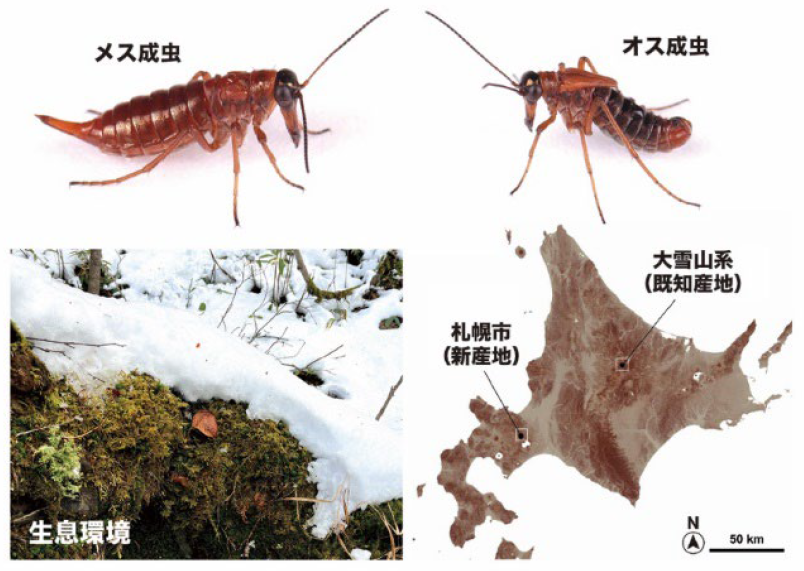 北海道大学 tweet media