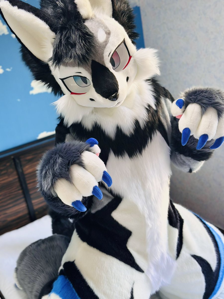 アクロくん愛しすぎました☺️☺️☺️
<a href="/Ac6_Ope_AO1/">アオイ🐺蒼ヰ</a>