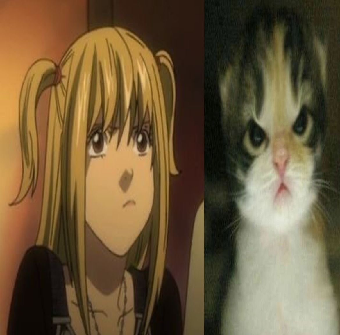 cursedmisa's tweet image. #EDTWT INTRO !!  ₍ᐢ..ᐢ₎

no dni !! any side of twt welcome ⊹ ࣪ ˖
                 ────୨ৎ────
.𖥔 ݁ ˖ pro recov ; recovering from SH ˎˊ˗

FANDOMS; kny, jjk, dn, mha, tshd, pjsk, sf, bllk, bc, etc !! i have many more ˃̶͈◡˂̶͈

ᯓ♡/↺ to oomf ⋆˚࿔ #oomfhunt #ifb