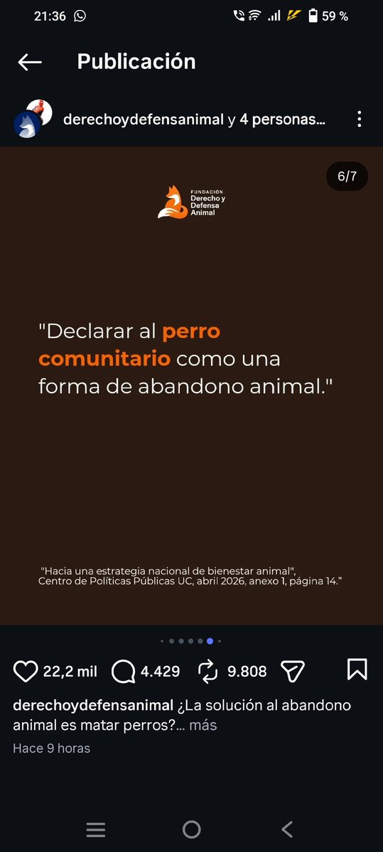 Noemí 🪻 tweet media