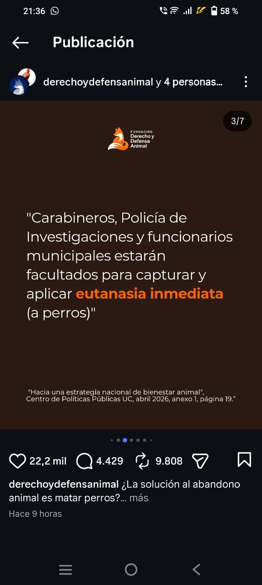 Noemí 🪻 tweet media