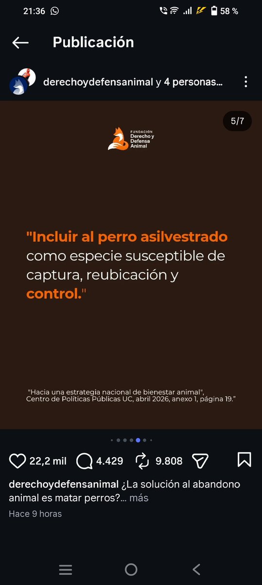 Noemí 🪻 tweet media