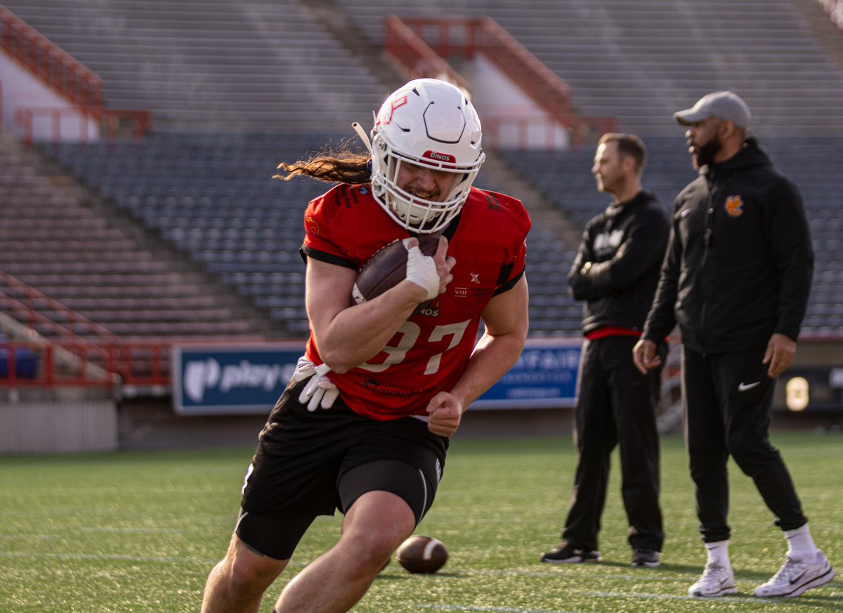UCalgary Dinos Football 🏈 tweet media