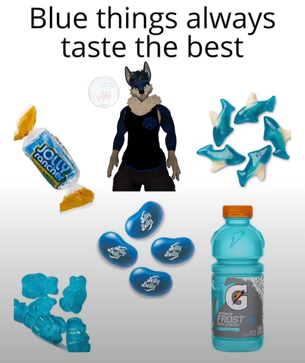 jak husky tweet media
