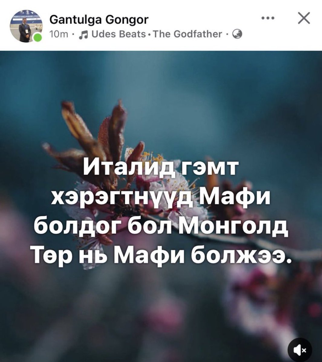 Lutaa tweet media