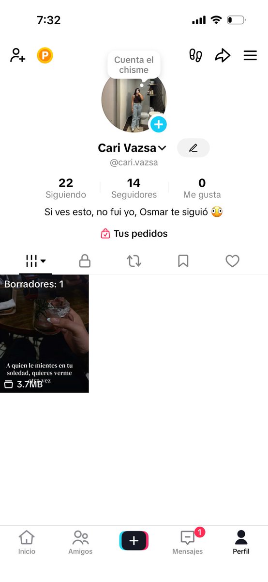 Si chismoseas acá ve esto, no te seguí yo
