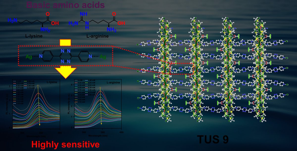 team_tagen's tweet image. Tetrazine-bridged Ag cluster assemblies form ladder structures with tunable luminescence, enabling selective amino acid recognition. DOI: doi.org/10.1039/d6nr00…
#Sensors #Nanomaterials #Luminescence #IMRAM