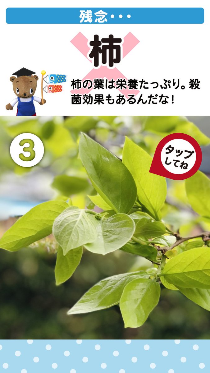 アースガーデンまもるくん tweet media