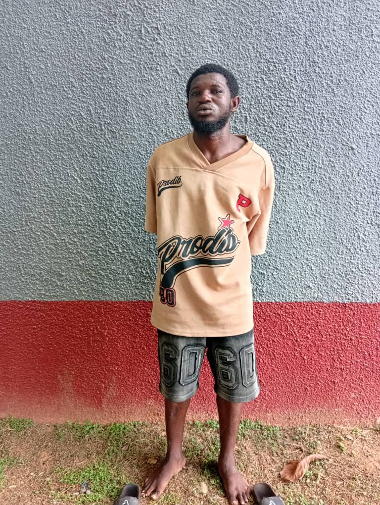Sir Kay tweet media