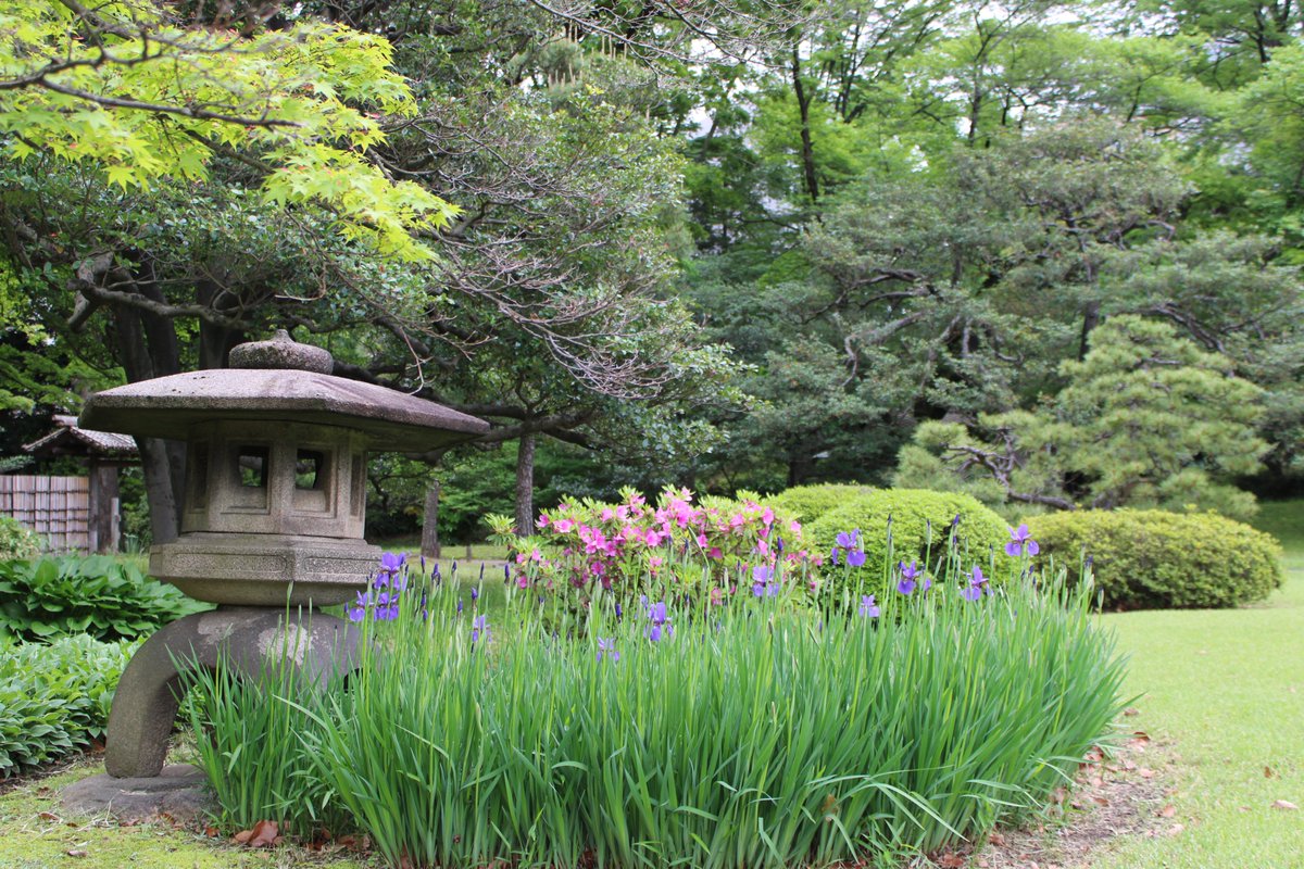 六義園 tweet media