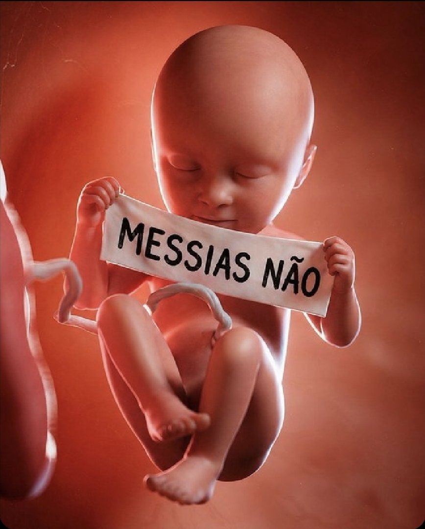 🇧🇷 Marcelo Begerron 🇧🇷 tweet media