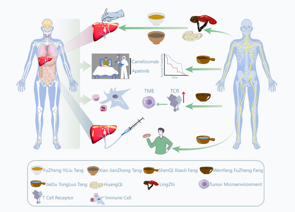 HepatomaRes's tweet image. 🤖 AI in MDTs: Transforming HCC Decision-Making in China

Can artificial intelligence enhance multidisciplinary tumor boards (MDTs) in HCC care?
🔗[f.oaes.cc/xmlpdf/publish…]
#HCC #AIinMedicine #MDT #PrecisionOncology