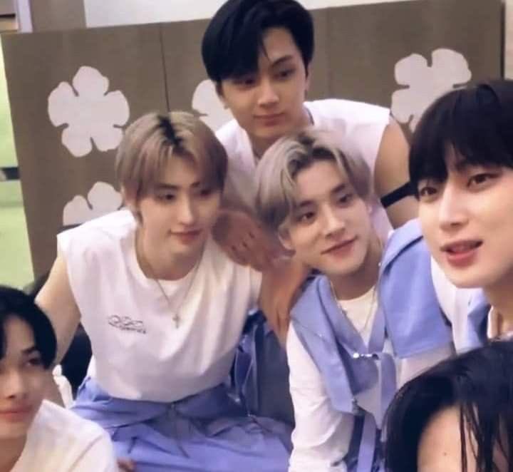 isabella chaconne tweet media