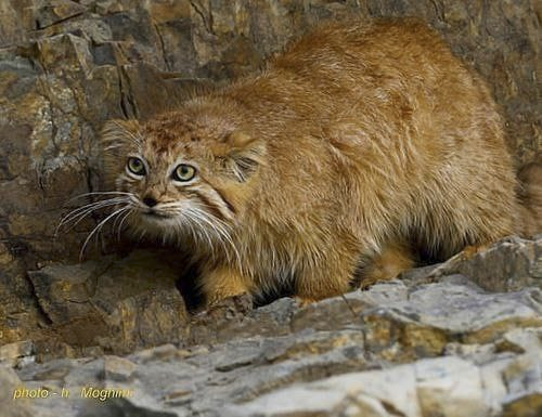 🌸 paprika 🗡️ tweet media