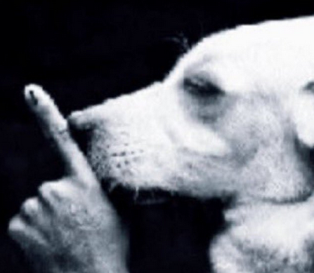 Matheus Souza tweet media