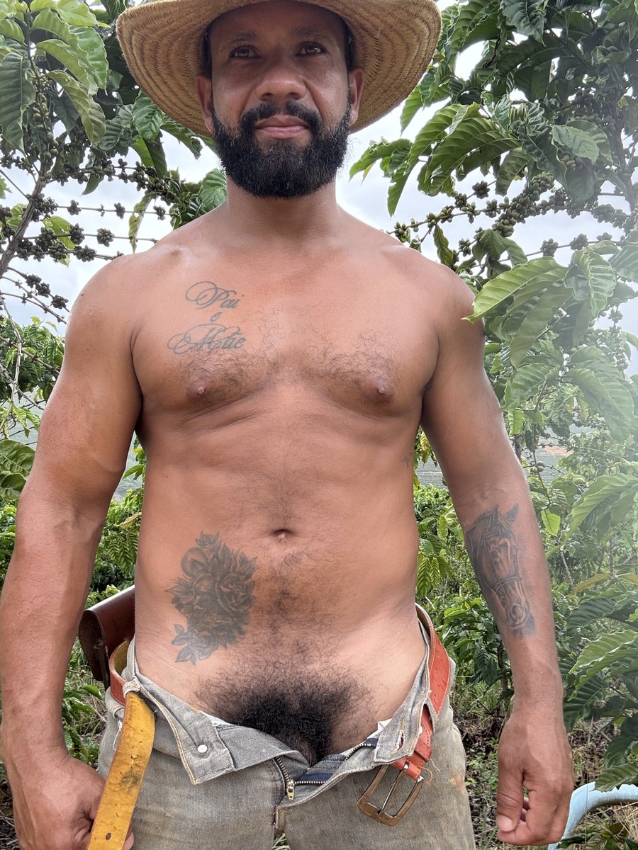 Fernando Peao tweet media