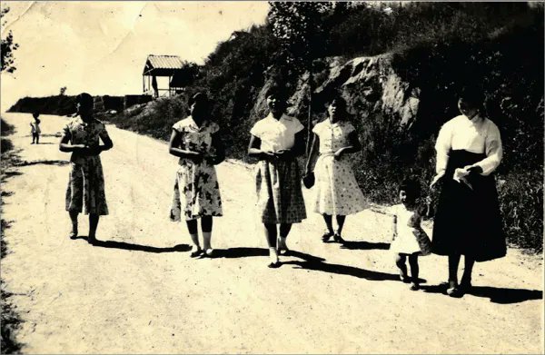 1950년대 서울 서초구 말죽거리

ⓒ 서초구