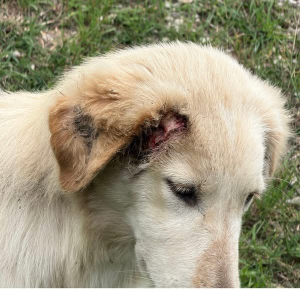 Fionaismybitch tweet media