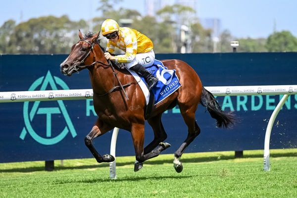 Giddy Up With Gareth Hall tweet media