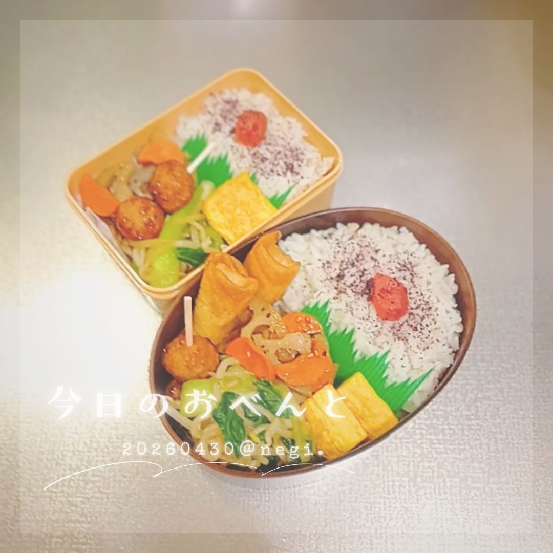 negi_note's tweet photo. おはようございます🍀

◎本日のお弁当
・つくね串・春巻き
・たまごやき
・チンゲン菜ともやし鶏ガラ炒め
・れんこんのきんぴら

#お弁当記録  #地味弁 #節約弁当 #ワンパターン弁当 https://t.co/OHFfn73KX7