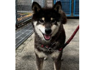 くるみmama tweet media