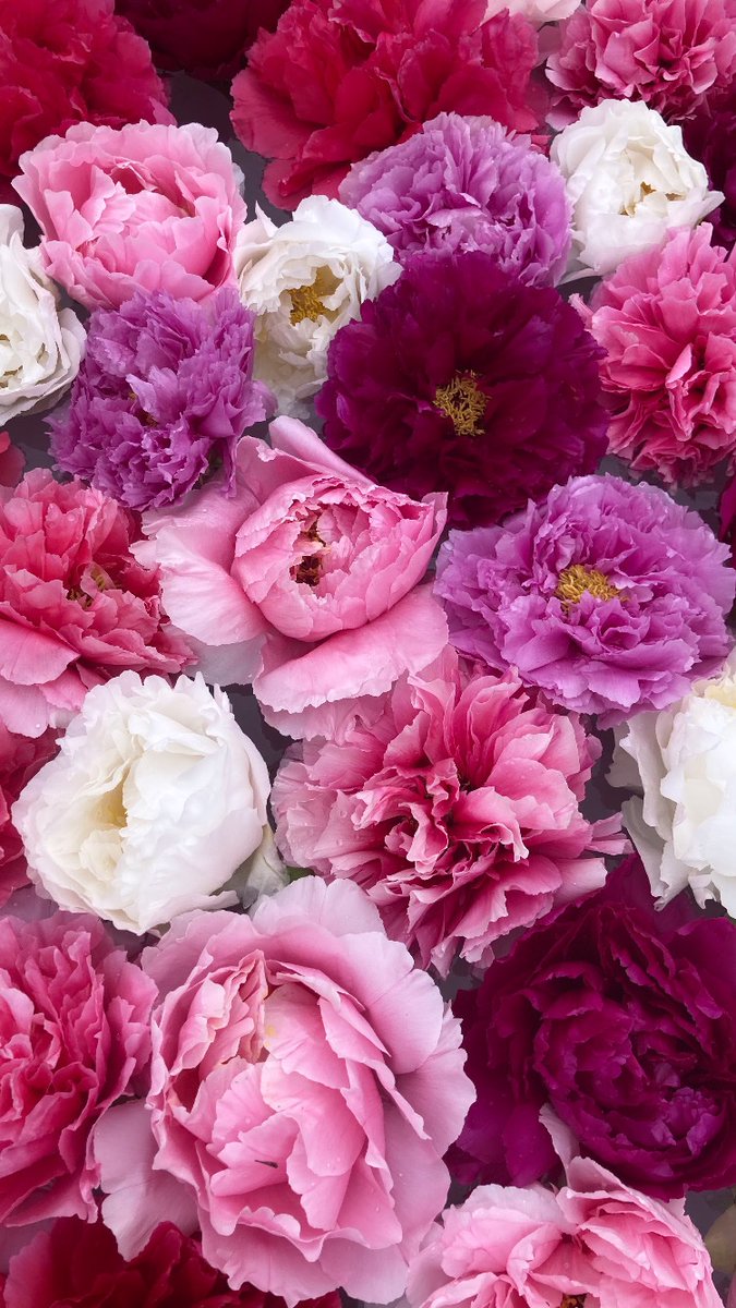 一般社団法人ブランディングデザイン協会【公式】 tweet media