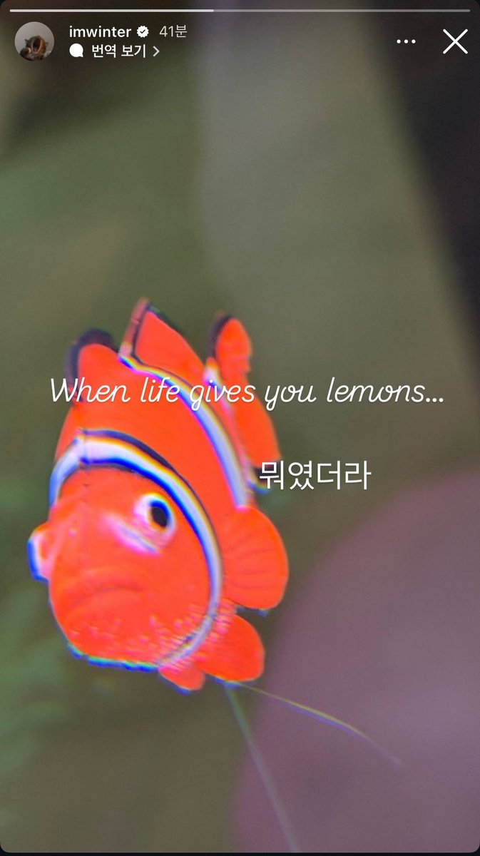 랭커🍋 tweet media