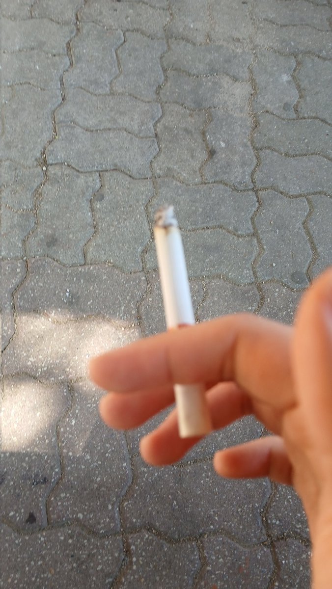 조팡맹이 tweet media