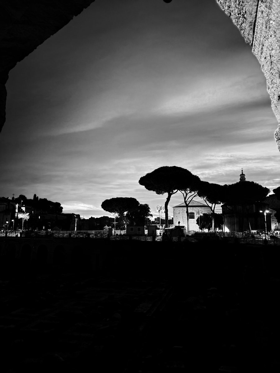 fsazarret's tweet photo. loves bnw https://t.co/Xz0yvvJM0B