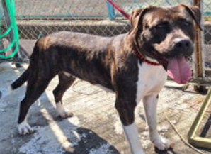 くるみmama tweet media