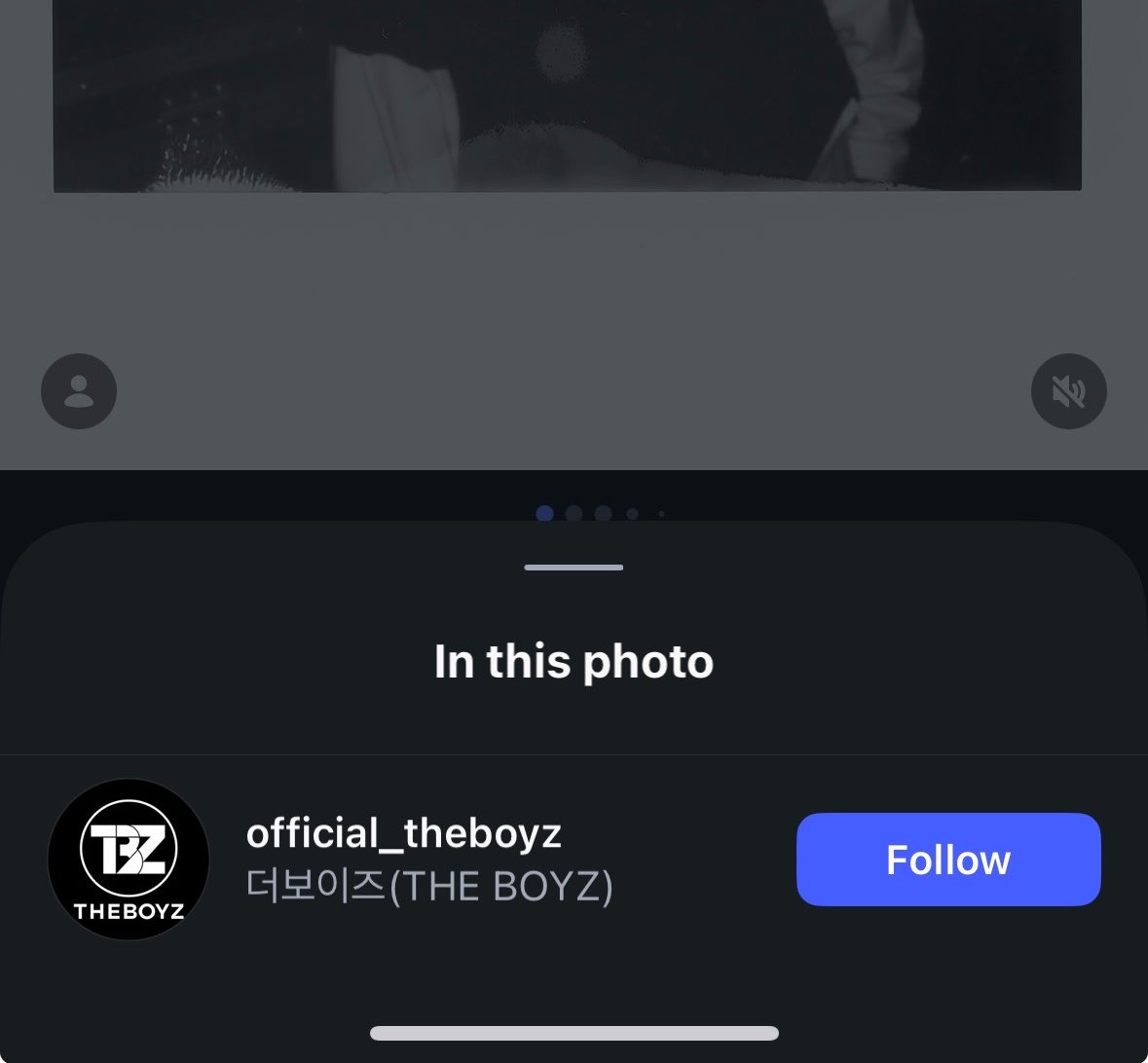 lilie tweet media