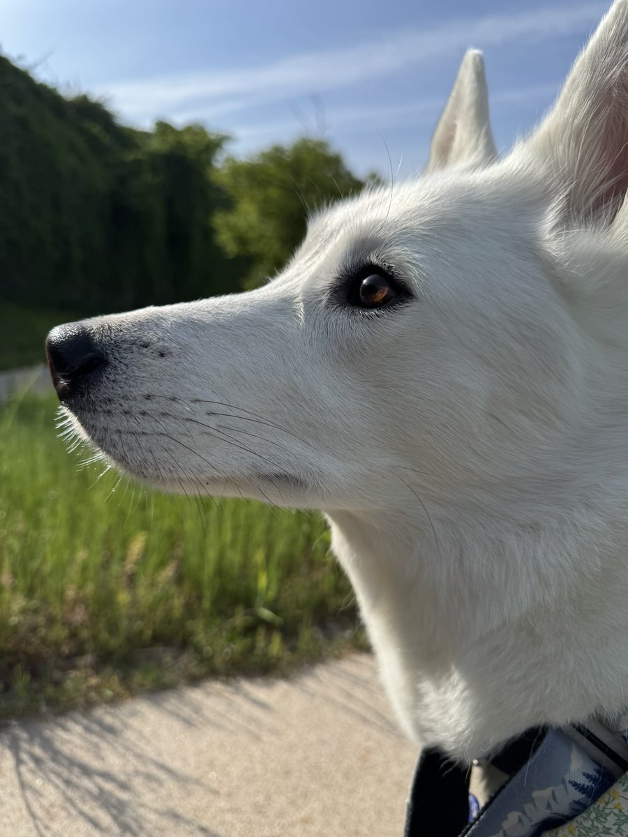 지니아갓쉬 진예애깃쉬 tweet media