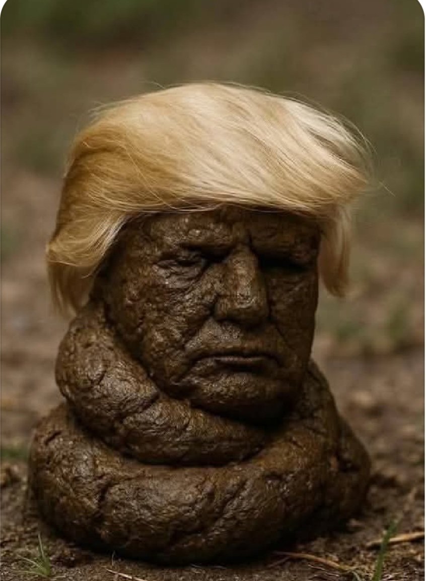 Tony Rahim 💚🌙 tweet media