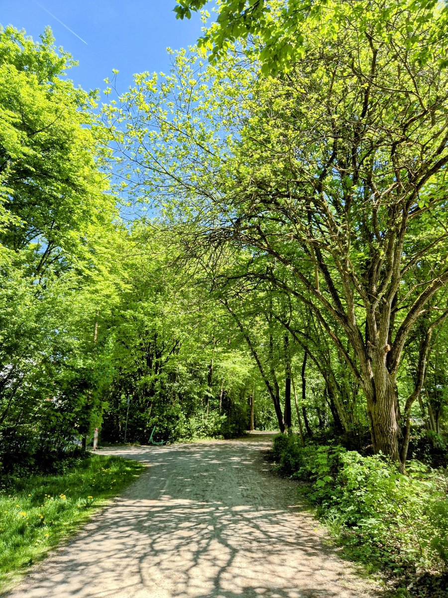 Fozzybear186691's tweet image. Good morning ☕️ happy Thursday 
#trails