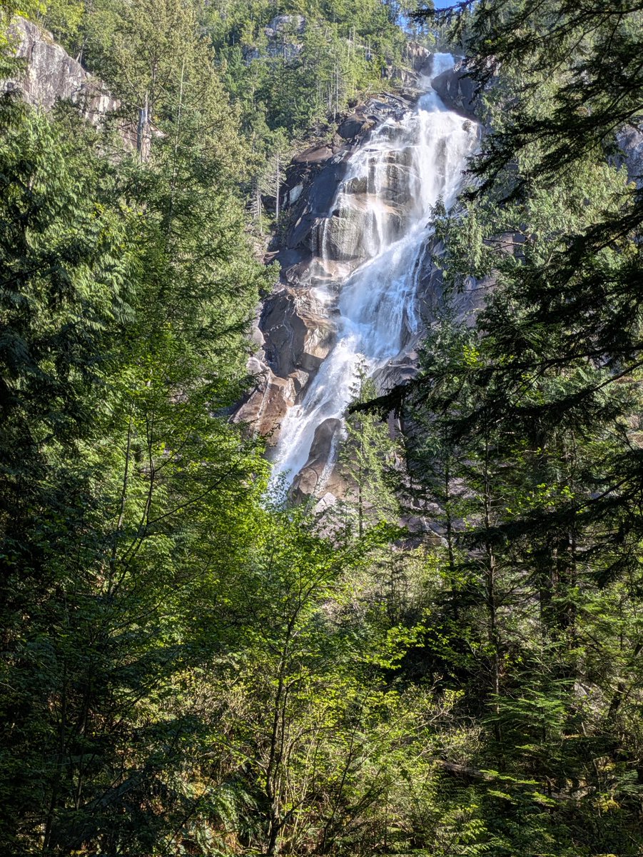 りょこ💙💛🐦@旅先で骨折したけど治療終わりました！ tweet media