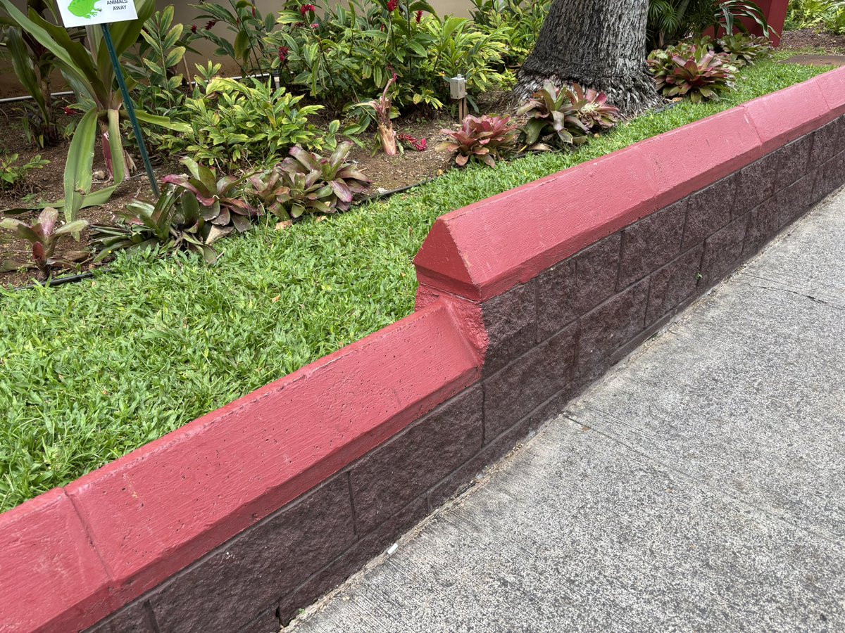 yukari_waugh's tweet image. 🌴Aloha🌴
段違い建築？！
ハワイあるある‼️

今日はアプデだから
配信は14時

昨日間違えて案内して
しまいましたので14時に
なりまーす❣️

みんな来てね

#Fortnite #seniors #PS5
#Hawaii #Lego Fortnite #youtube#高年齢 #参加希望