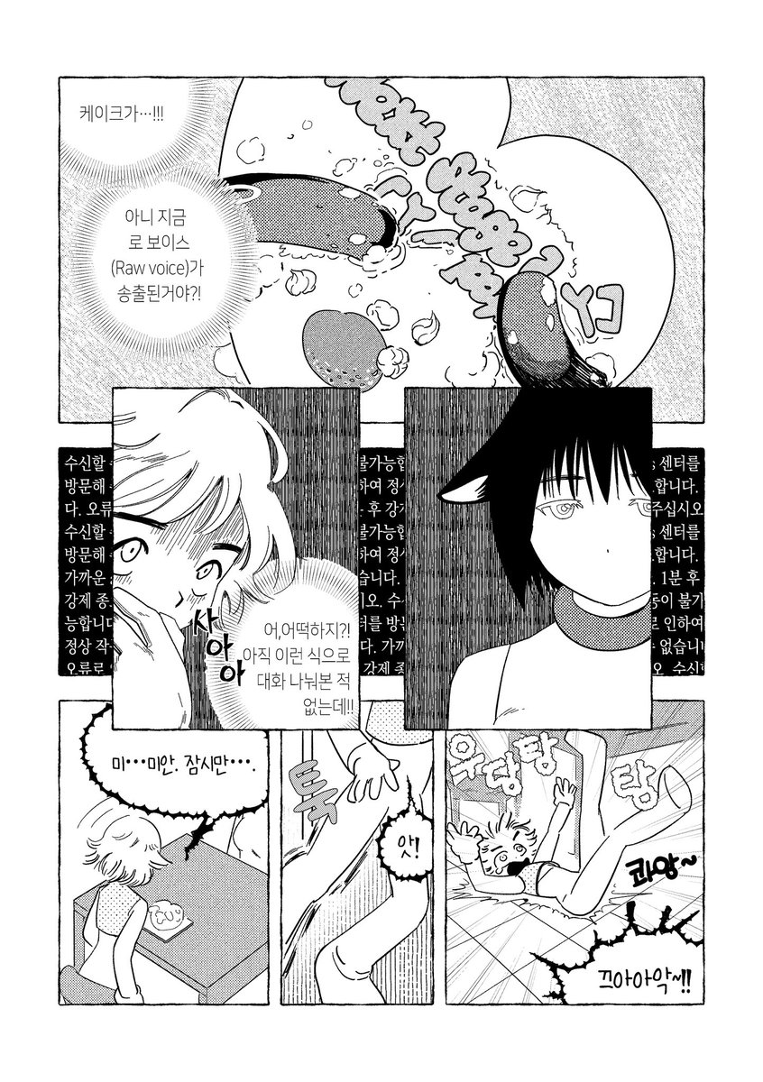 선세개클럽 tweet media