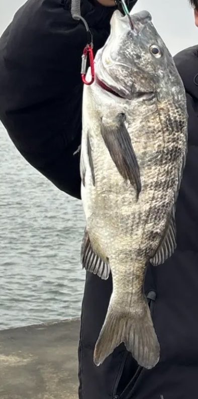 もるに tweet media